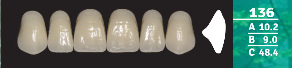 Biodent Upper Anterior - Shades B2- B3