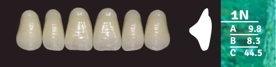 Biodent Upper Anterior - Shades B2- B3
