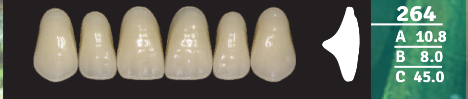 Biodent Upper Anterior - Shades B2- B3