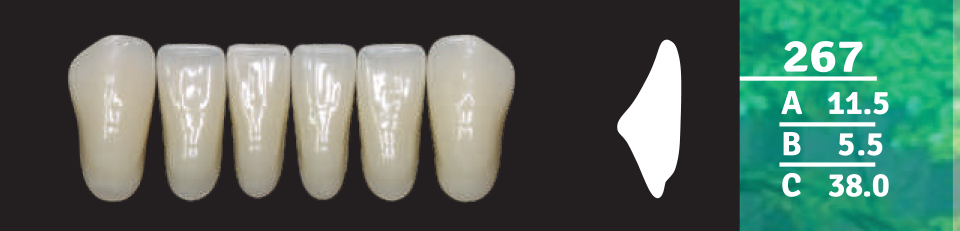 Biodent Lower Anterior - Shades A1 - A4