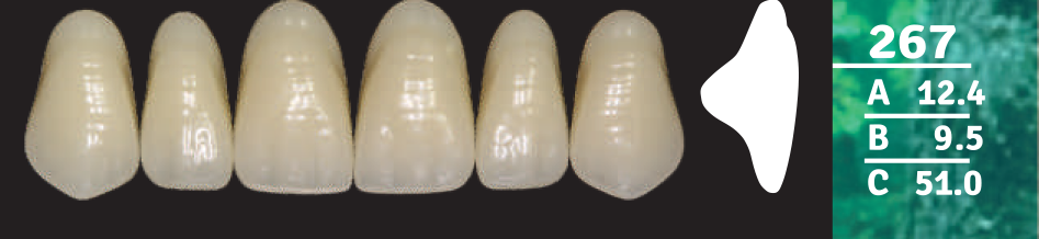 Biodent Upper Anterior - Shades B2- B3