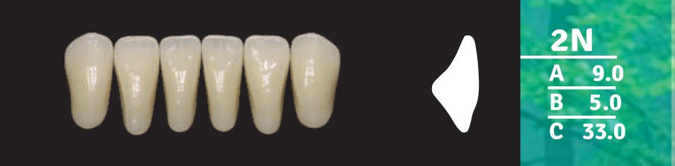 Biodent Lower Anterior - Shades A1 - A4