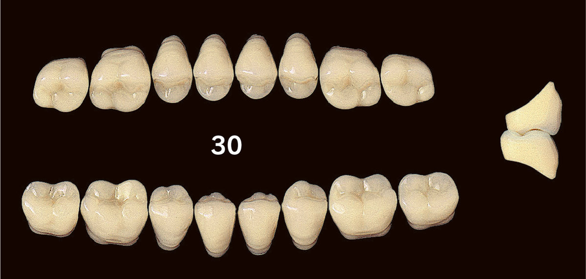 EFUCERA PX Upper Posterior - Shades A1 - A3.5