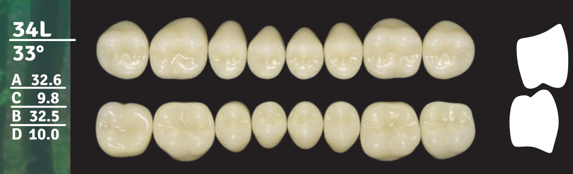 Biodent Lower Posterior - Shades C1 - C3