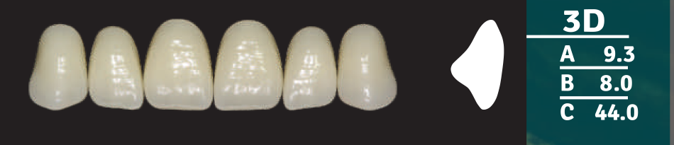 Biodent Upper Anterior - Shades B2- B3