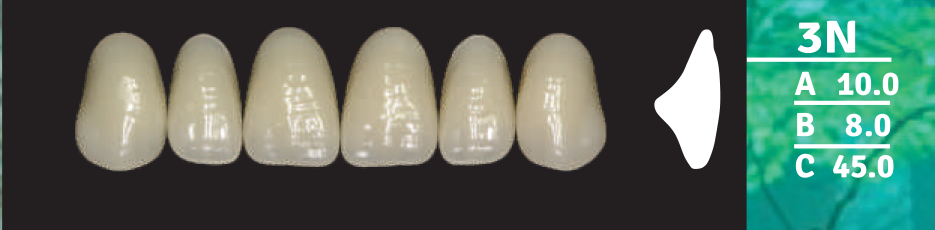 Biodent Upper Anterior - Shades B2- B3
