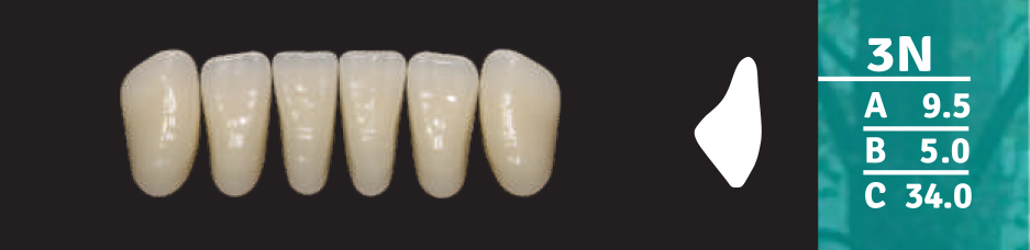 Biodent Lower Anterior - Shades A1 - A4