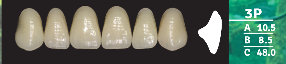 Biodent Upper Anterior - Shades B2- B3