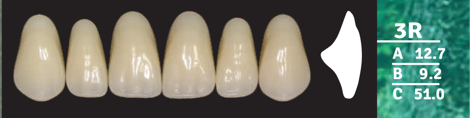 Biodent Upper Anterior - Shades B2- B3