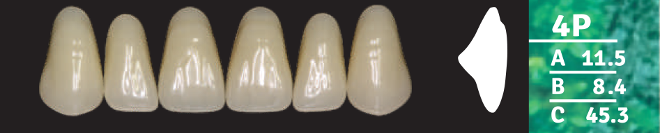 Biodent Upper Anterior - Shades B2- B3