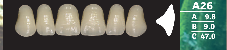 Biodent Upper Anterior - Shades B2- B3