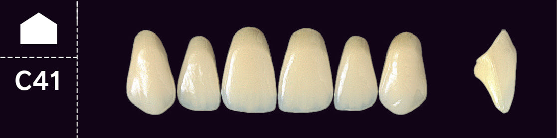 Crown PX Upper Anterior - Shades B4; C2 - C4