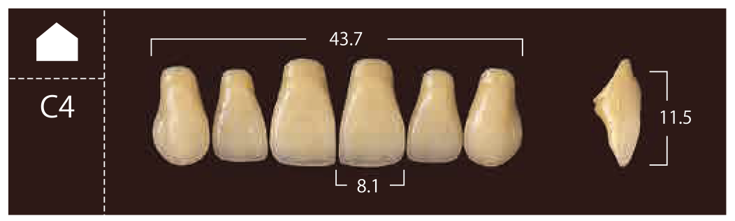 Soluut PX Anterior Upper - Shades A4; B2 - B4