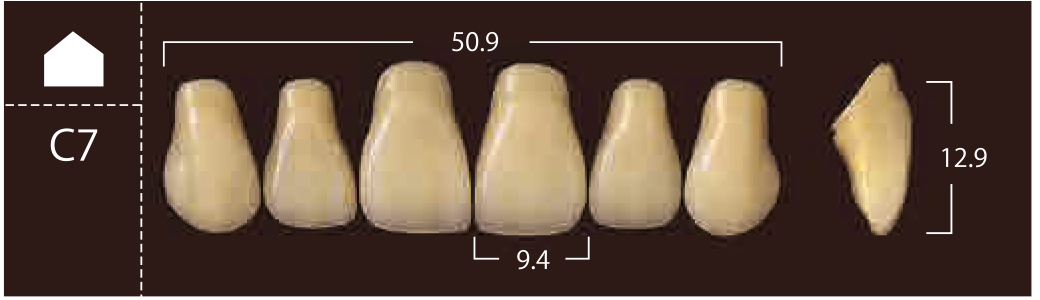 Soluut PX Anterior Upper - Shades A4; B2 - B4