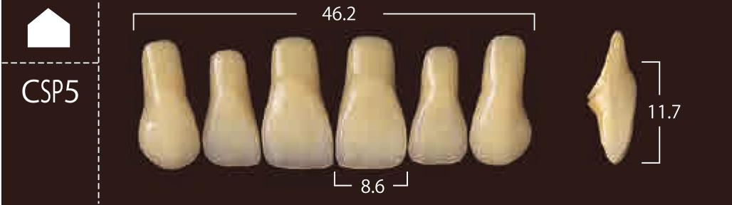 Soluut PX Anterior Upper - Shades A4; B2 - B4