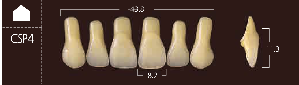 Soluut PX Anterior Upper - Shades A4; B2 - B4