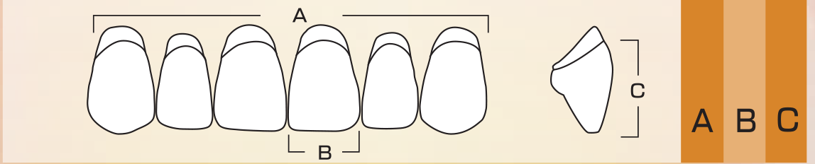 Crown PX Upper Anterior - Shades A1 - A3.5