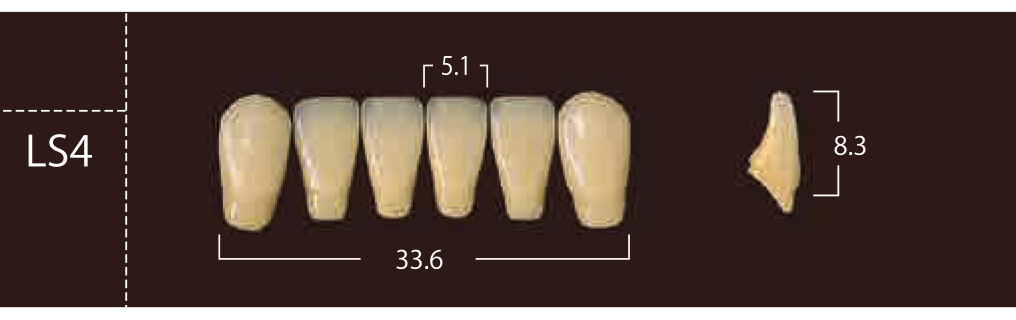 Soluut PX Anterior Lower - Shades A4; B2 - B4
