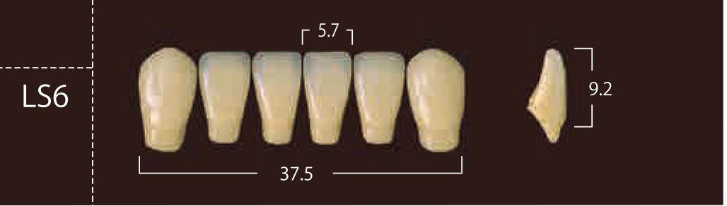 Soluut PX Anterior Lower - Shades A4; B2 - B4