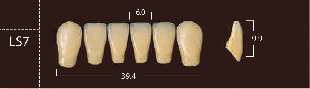 Soluut PX Anterior Lower - Shades A4; B2 - B4