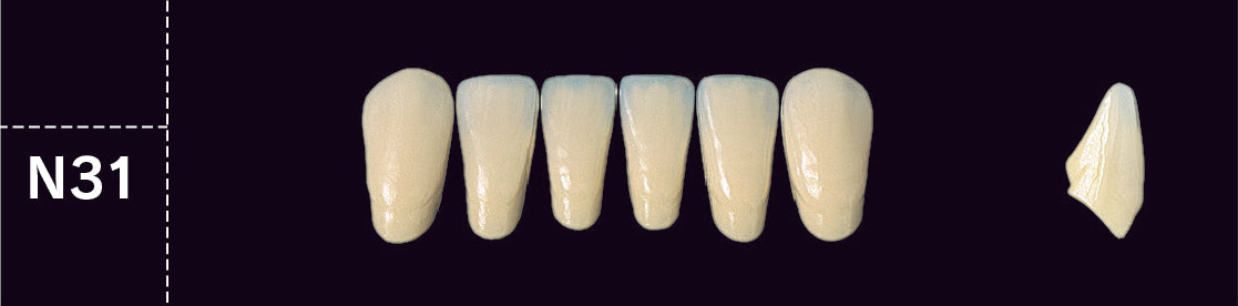 Crown PX Lower Anterior - Shades D3