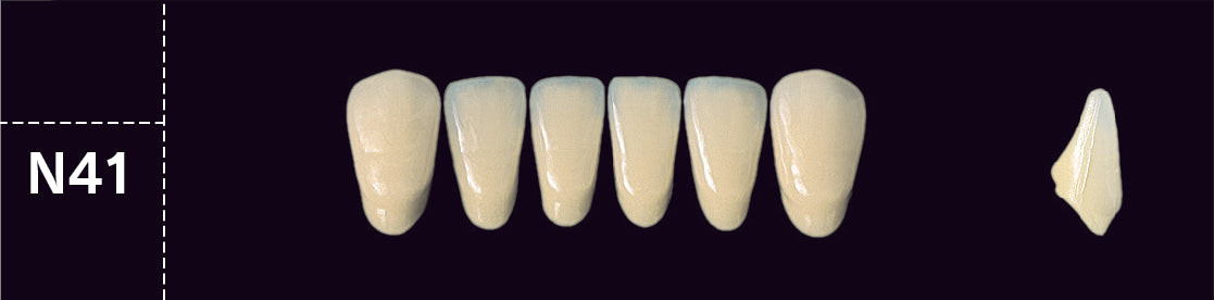 Crown PX Lower Anterior - Shades D3