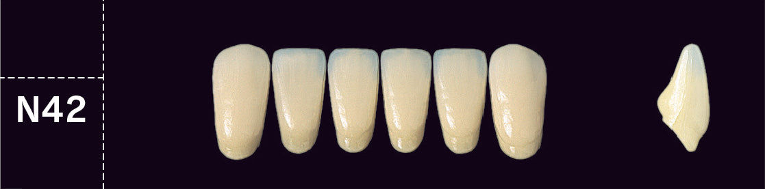 Crown PX Lower Anterior - Shades A1 - A3.5