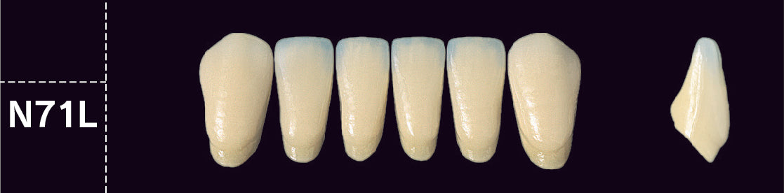 Crown PX Lower Anterior - Shades D3