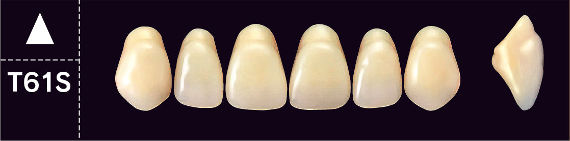 Crown PX Upper Anterior - Shades A4; B1 - B3