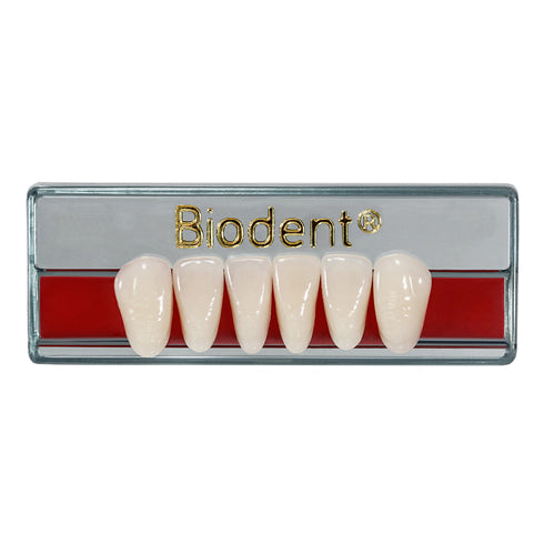 Biodent Lower Anterior - Shades A1 - A4