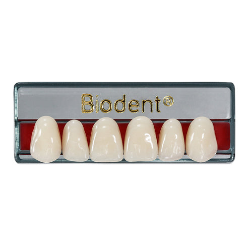 Biodent Upper Anterior - Shades B2- B3