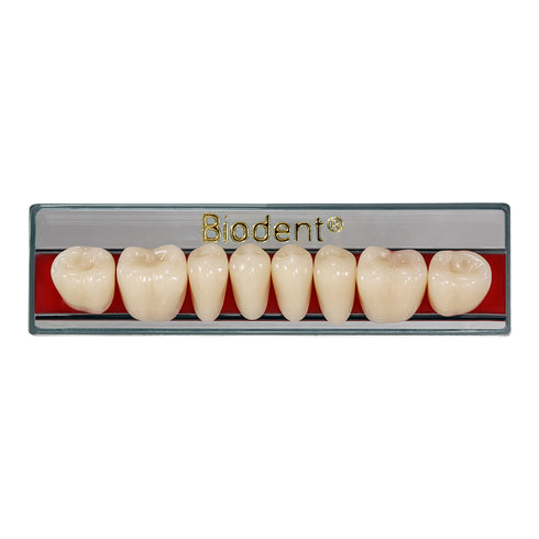 Biodent Lower Posterior - Shades A1 - A4