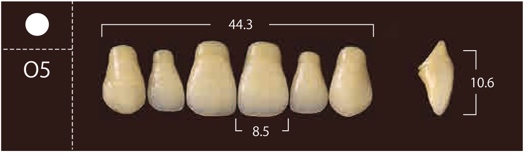 Soluut PX Anterior Upper - Shades A4; B2 - B4