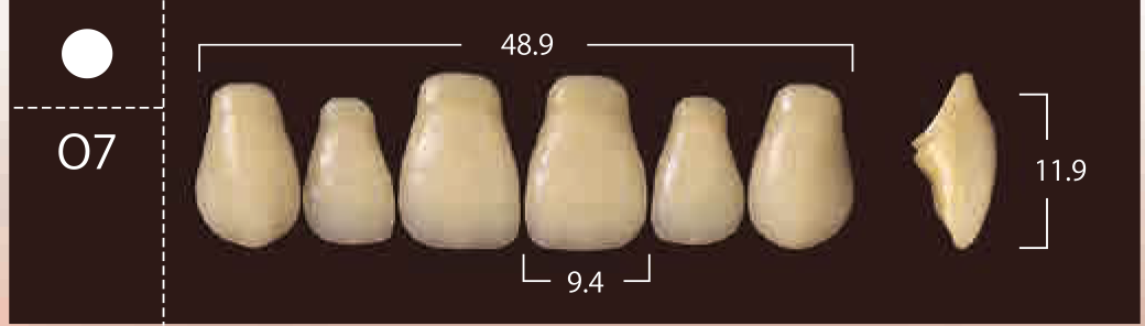 Soluut PX Anterior Upper - Shades A4; B2 - B4