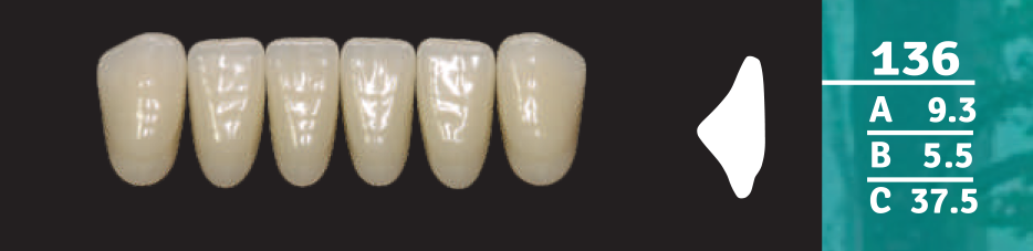 Biodent Lower Anterior - Shades C1 - C3
