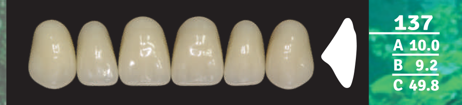 Biodent Upper Anterior - Shades B2- B3