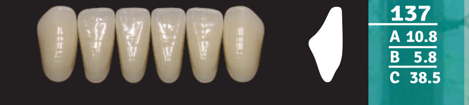 Biodent Lower Anterior - Shades C1 - C3