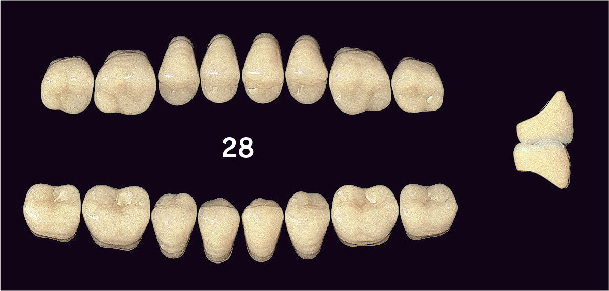 EFUCERA PX Upper Posterior - Shades A4; B1 - B3
