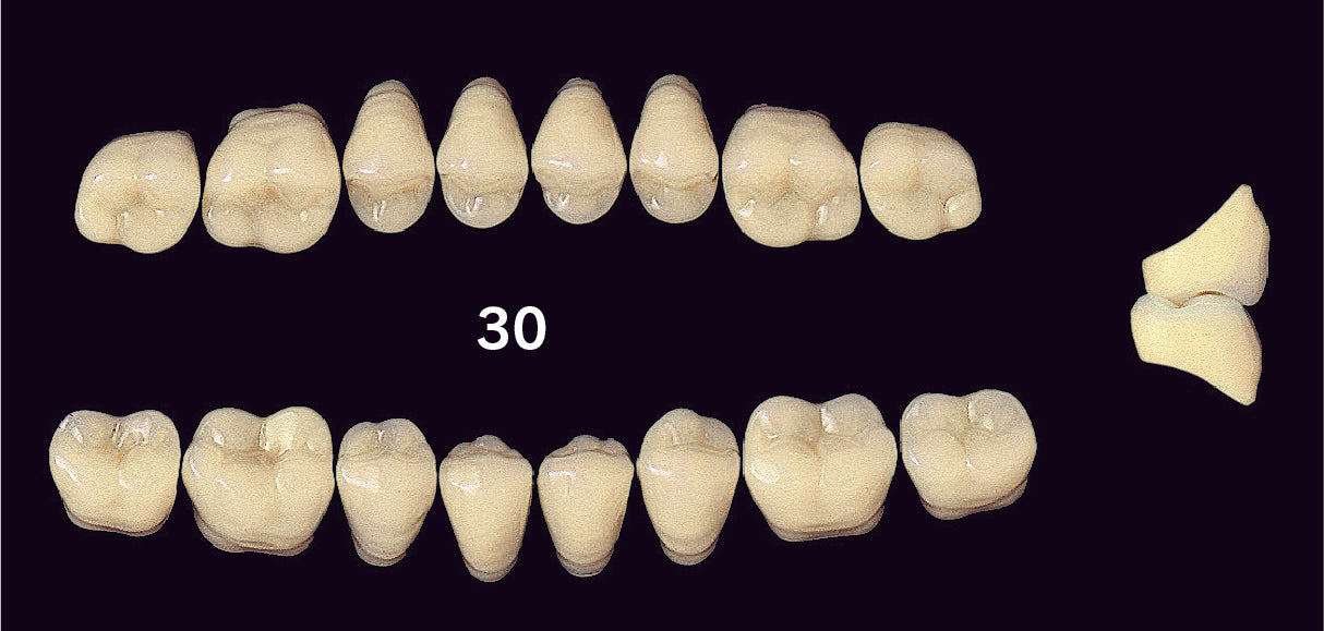 EFUCERA PX Upper Posterior - Shades A1 - A3.5