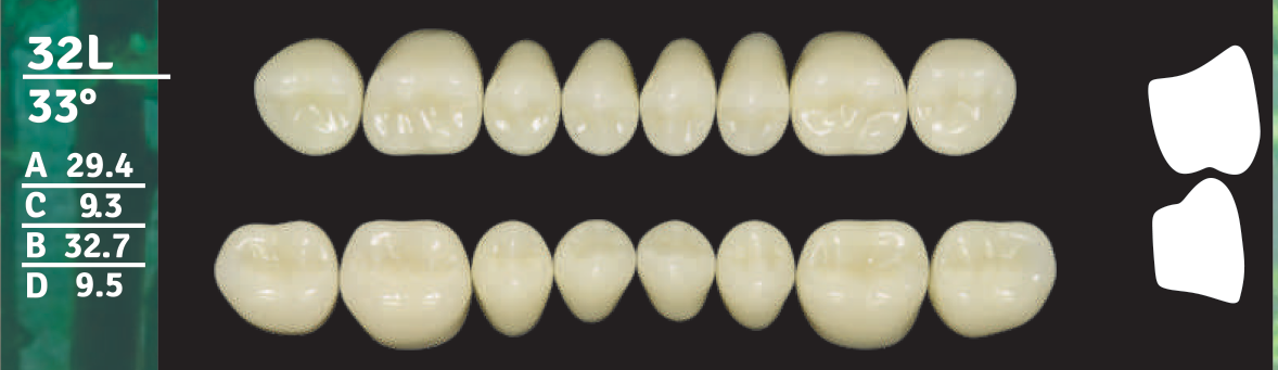 Biodent Upper Posterior - Shades B2 - B3