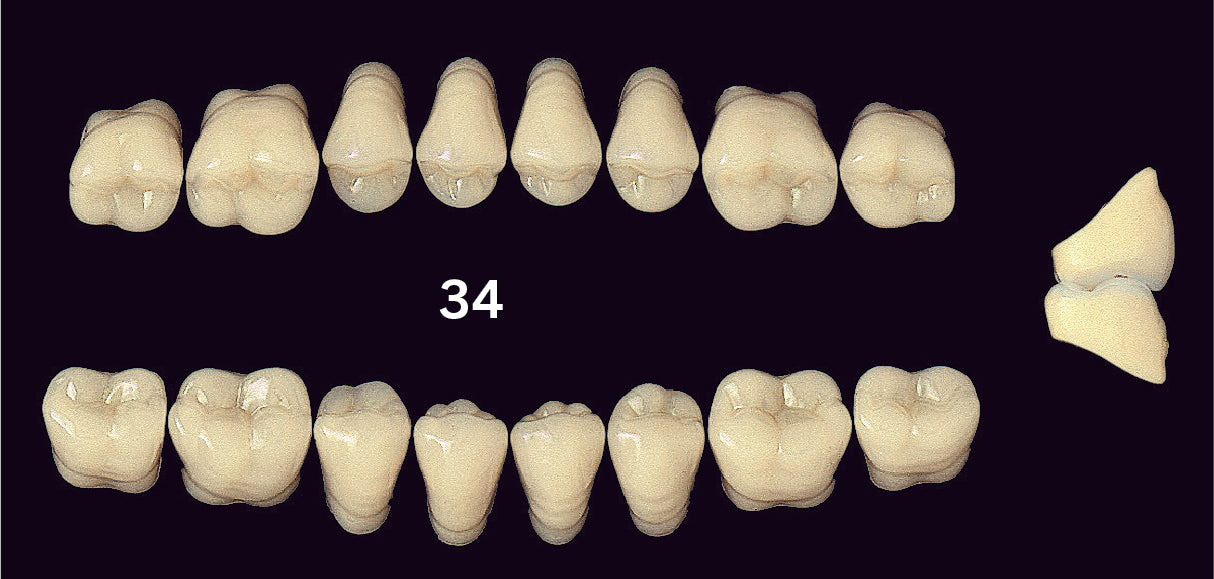 EFUCERA PX Upper Posterior - Shades A1 - A3.5