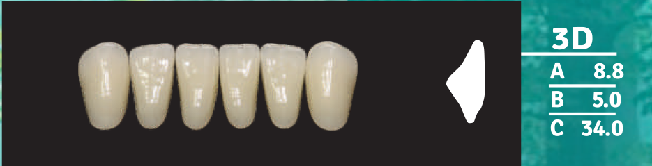 Biodent Lower Anterior - Shades C1 - C3