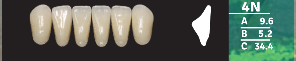Biodent Lower Anterior - Shades C1 - C3