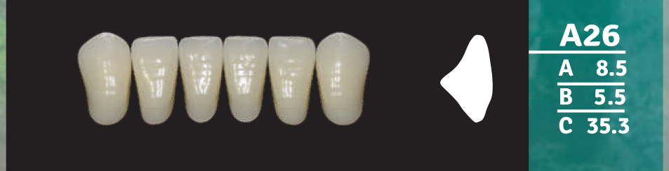 Biodent Lower Anterior - Shades C1 - C3