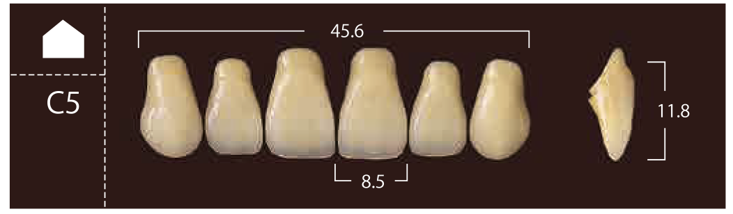 Soluut PX Anterior Upper - Shades A4; B2 - B4