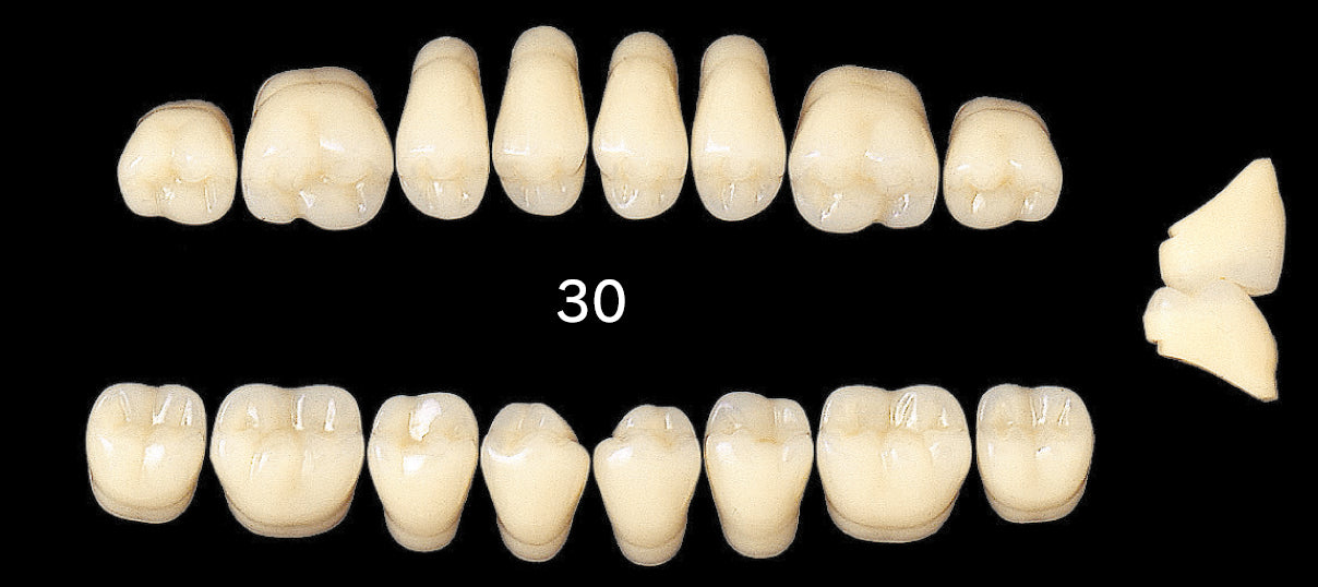 Efucera AC Upper Posterior - Shades A4; B1-B3