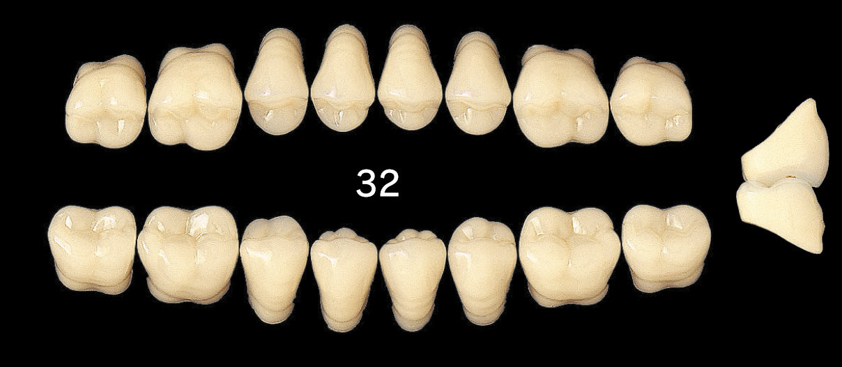 Efucera AC Upper Posterior - Shades A4; B1-B3