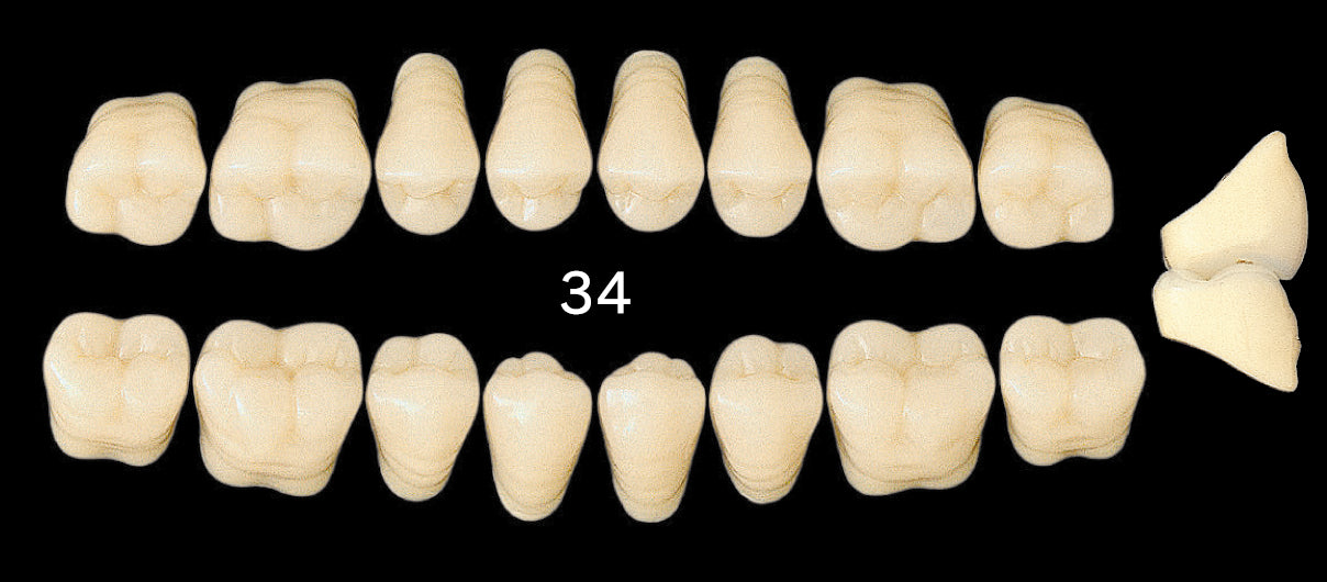Efucera AC Upper Posterior - Shades A4; B1-B3