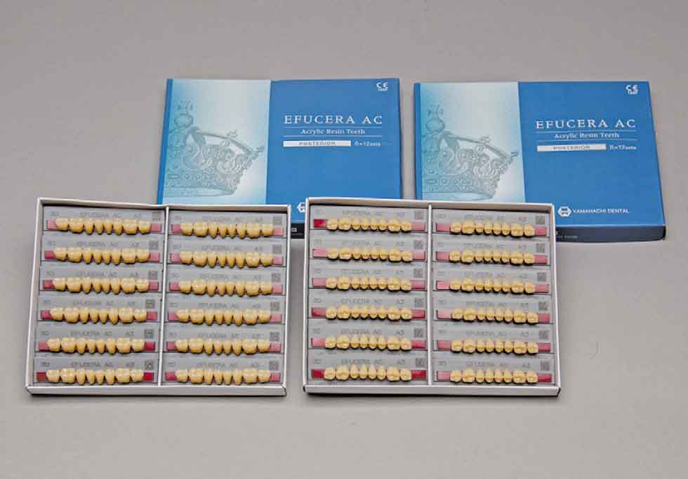 Efucera AC Upper Posterior - Shades  Shades C1 - C3; D2