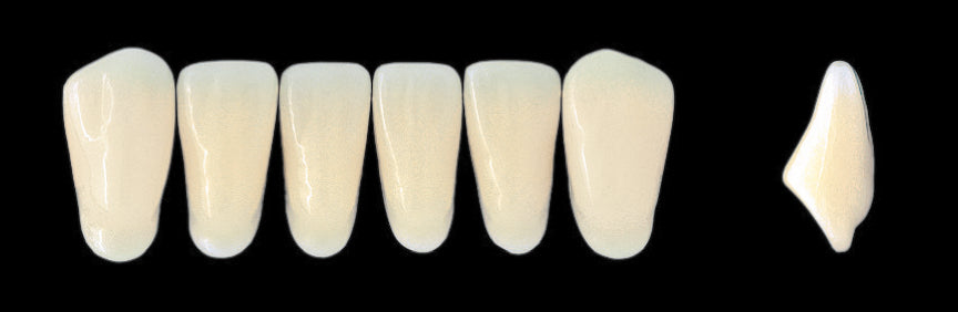 New Ace Lower Anterior - Shades C1 - C3; D2